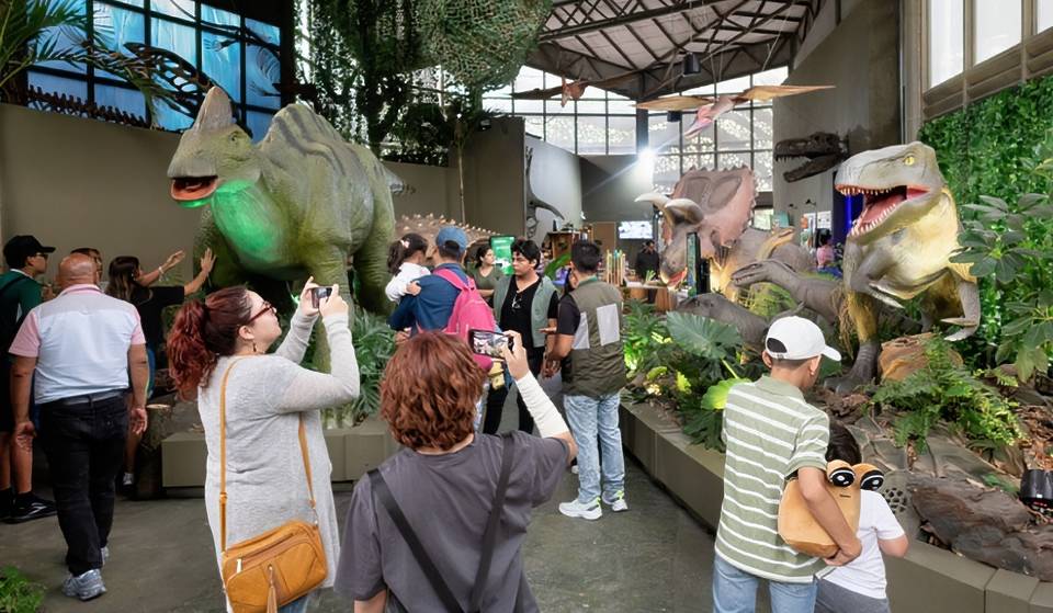 ¿Sacaste 9 o 10 en la boleta? Consigue entradas 2×1 en ZooAventuras Aragón este verano
