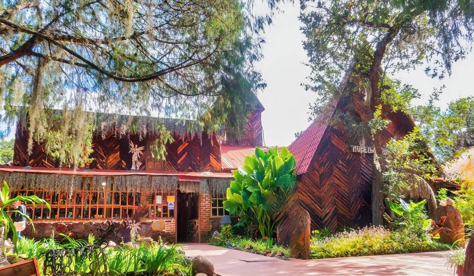 Vacaciones mágicas en Hidalgo: visita el Museo de los Duendes y camina bajo la luna hasta el Árbol de los Deseos