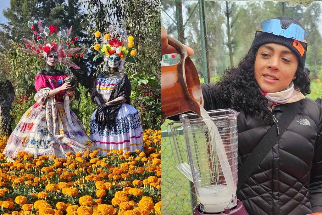 Ruta del Cempasúchil de Explora Xochimilco