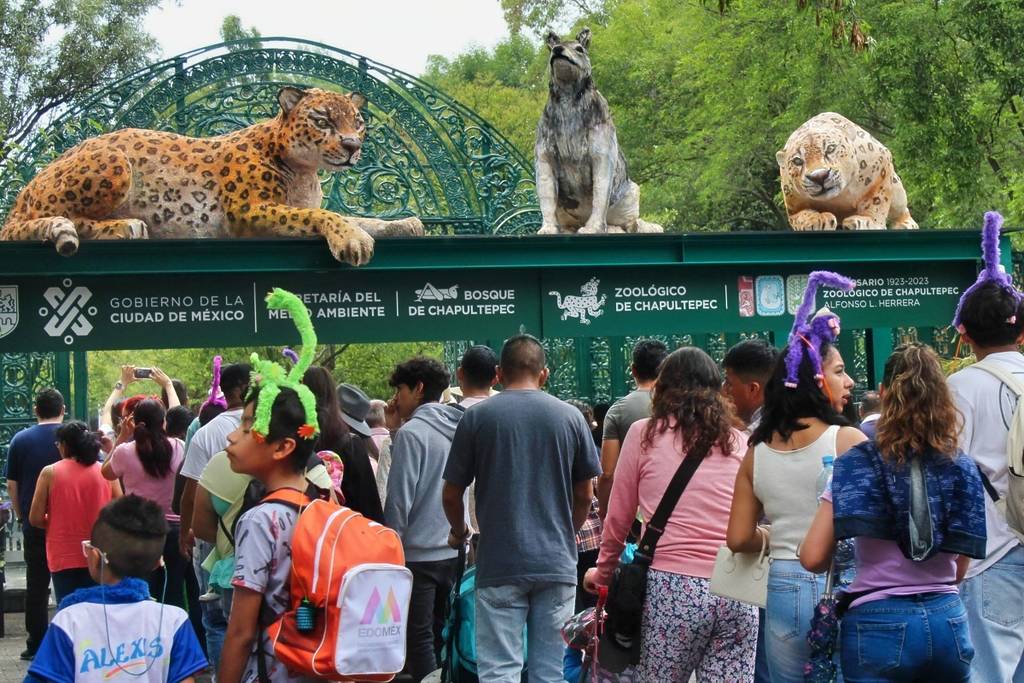 Curso de Verano Zoológico Chapultepec