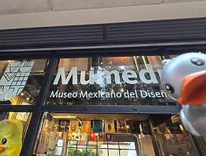 El nuevo MUMEDI en CDMX ya está abierto: diseño, pan artesanal y café en un lugar 100% pet friendly