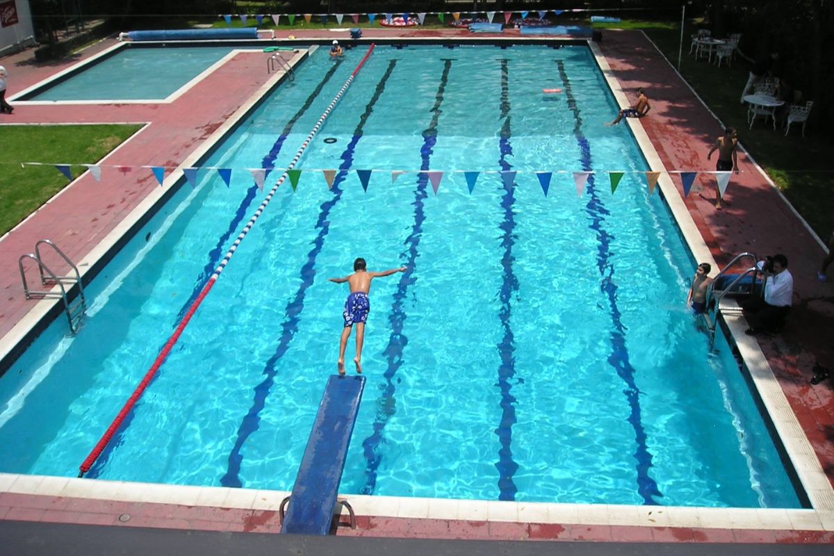 alberca asociación méxico japonesa