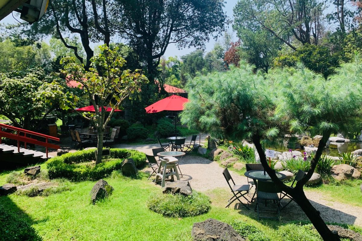 restaurante japonés asociación méxico japonesa