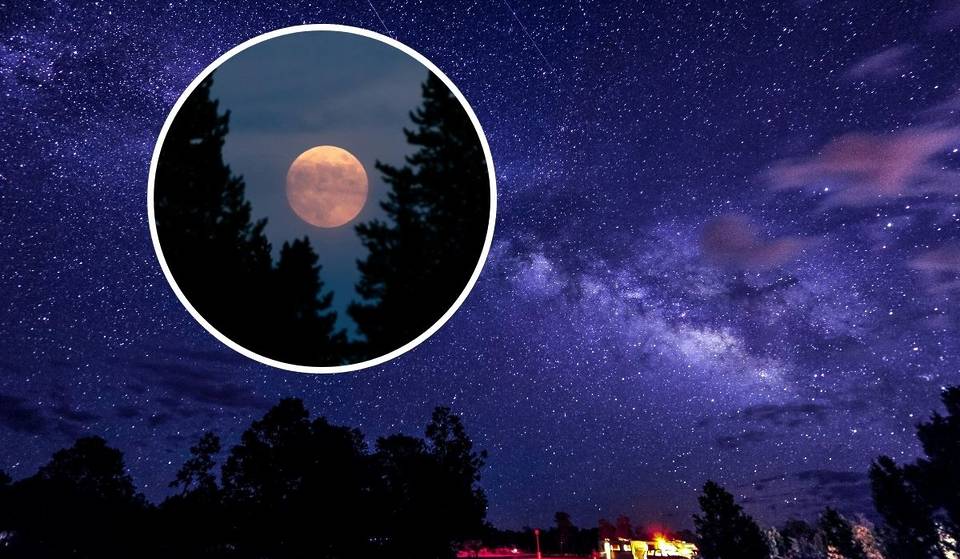 Sturgeon Moon and a meteor shower will light up the sky this August and you can enjoy the spectacle without a telescope