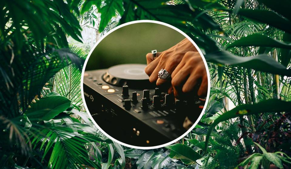 Mexiflora: concierto de música generada por plantas se presenta gratis en la Fonoteca Nacional