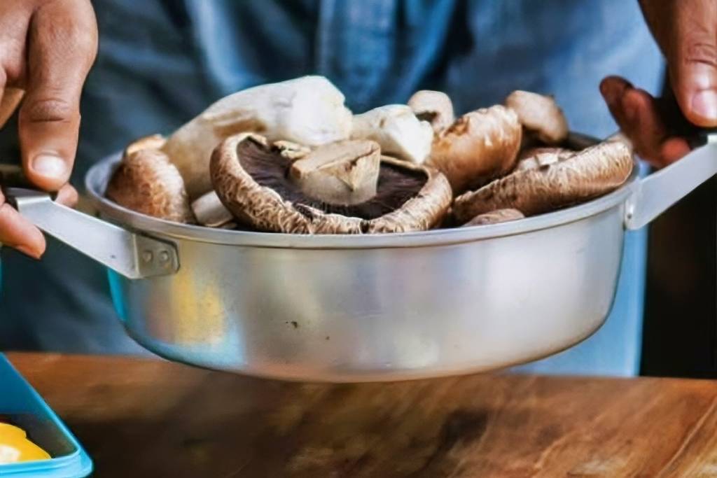 tour de recolección de hongos en el Iztaccíhuatl