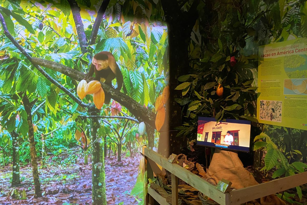 museos inmersivos en cdmx