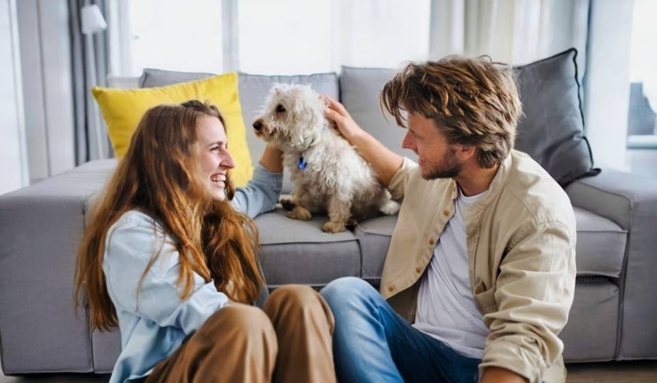 CDMX approves shared custody of pets in divorces – “Animals are family too”.