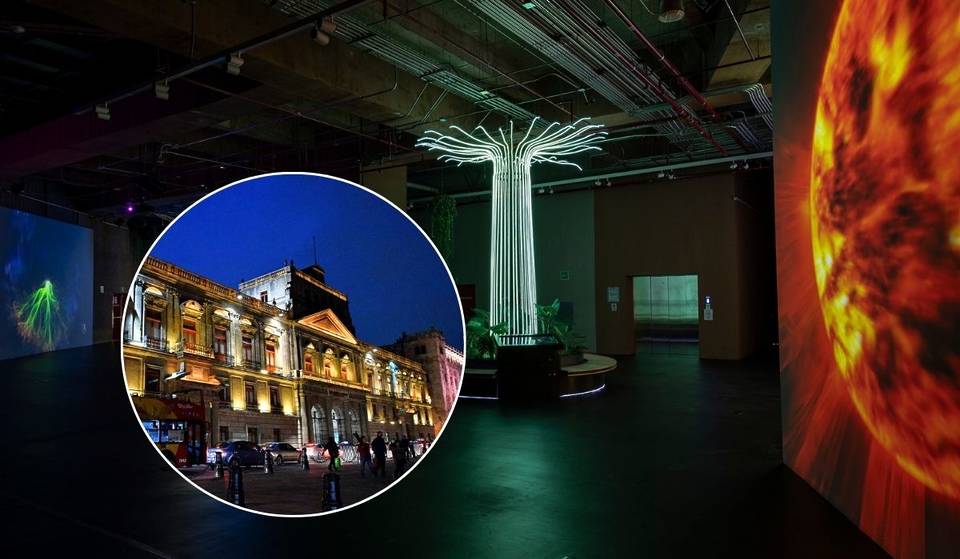 Salsa class, tribute to The Beatles and shark exhibition: this will be the Night of Museums in August 2025 in CDMX.