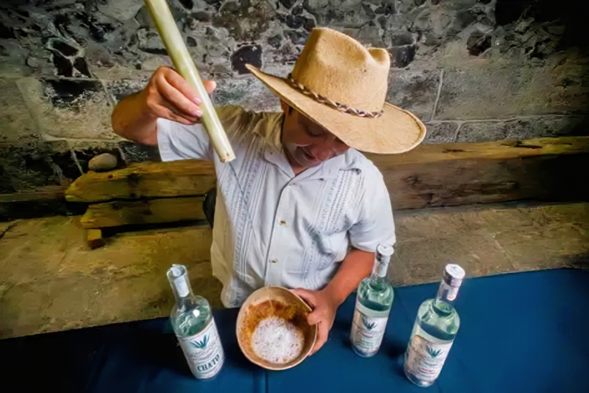 Festival Raíces Ancestrales 2025