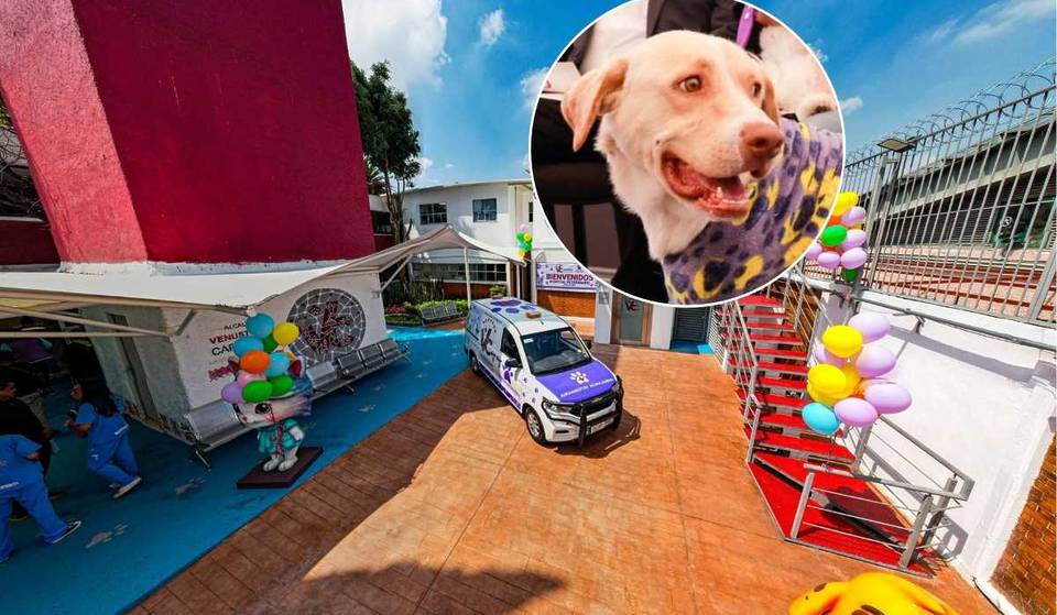 Location and everything about the new public veterinary hospital in CDMX that will attend to emergencies 24/7