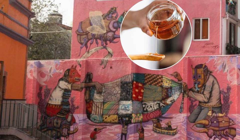 Coyoacán Museum will be filled with flavor with Expo Miel 2025! There will be tastings, workshops and more: admission is free.