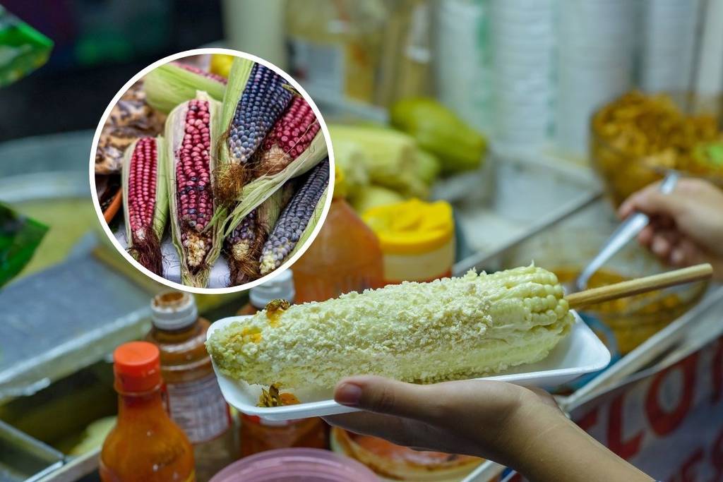 feria gastronómica y del elote 2025 en Milpa Alta