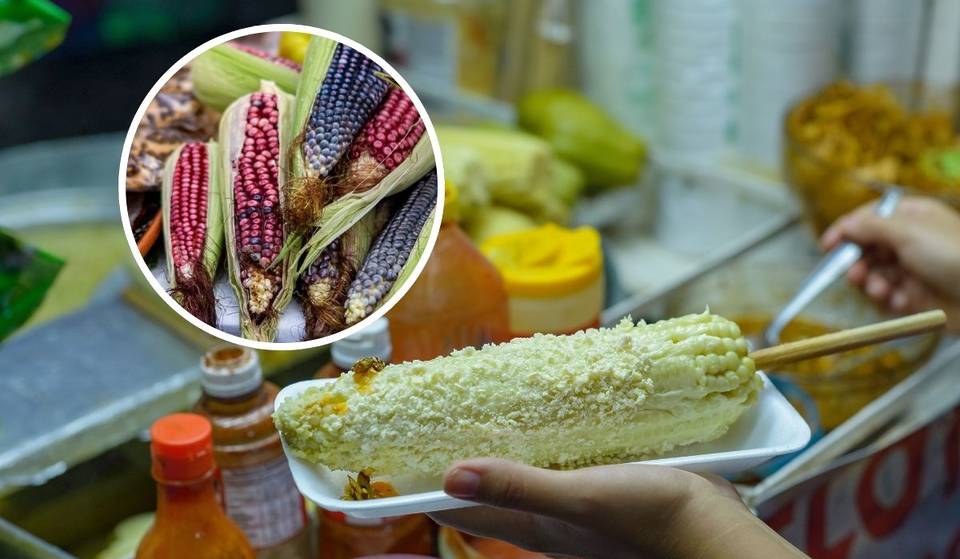 Feria Gastronómica y del Elote 2025 en CDMX: habrá tlaxcales, atole y otras recetas cocinadas con maíz criollo