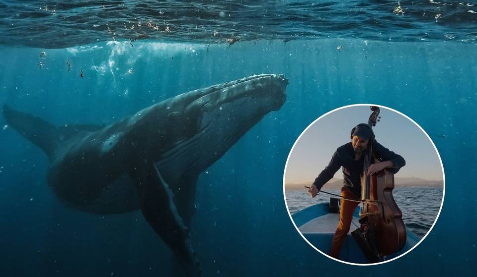 Habrá sinfonía inspirada en el canto de las ballenas en el Museo de Historia Natural: disfruta las melodías del océano por solo $38