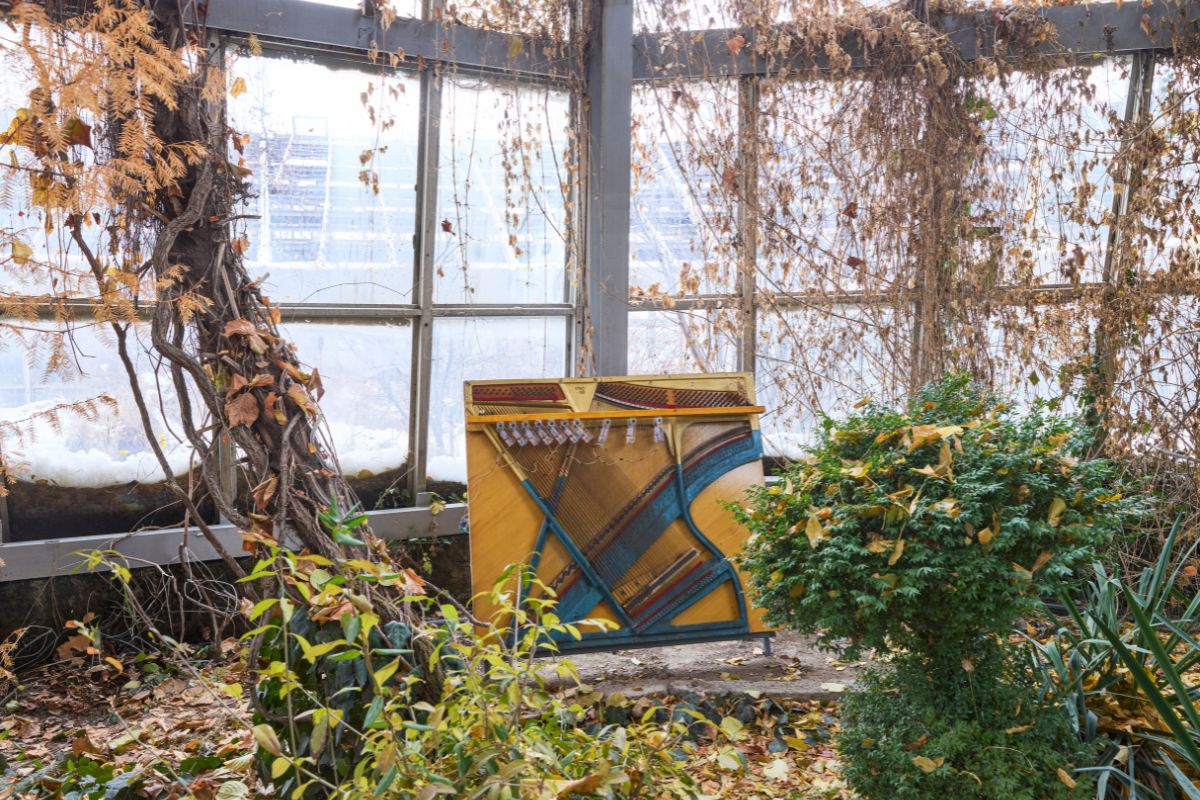 festival internacional de arte multimedia