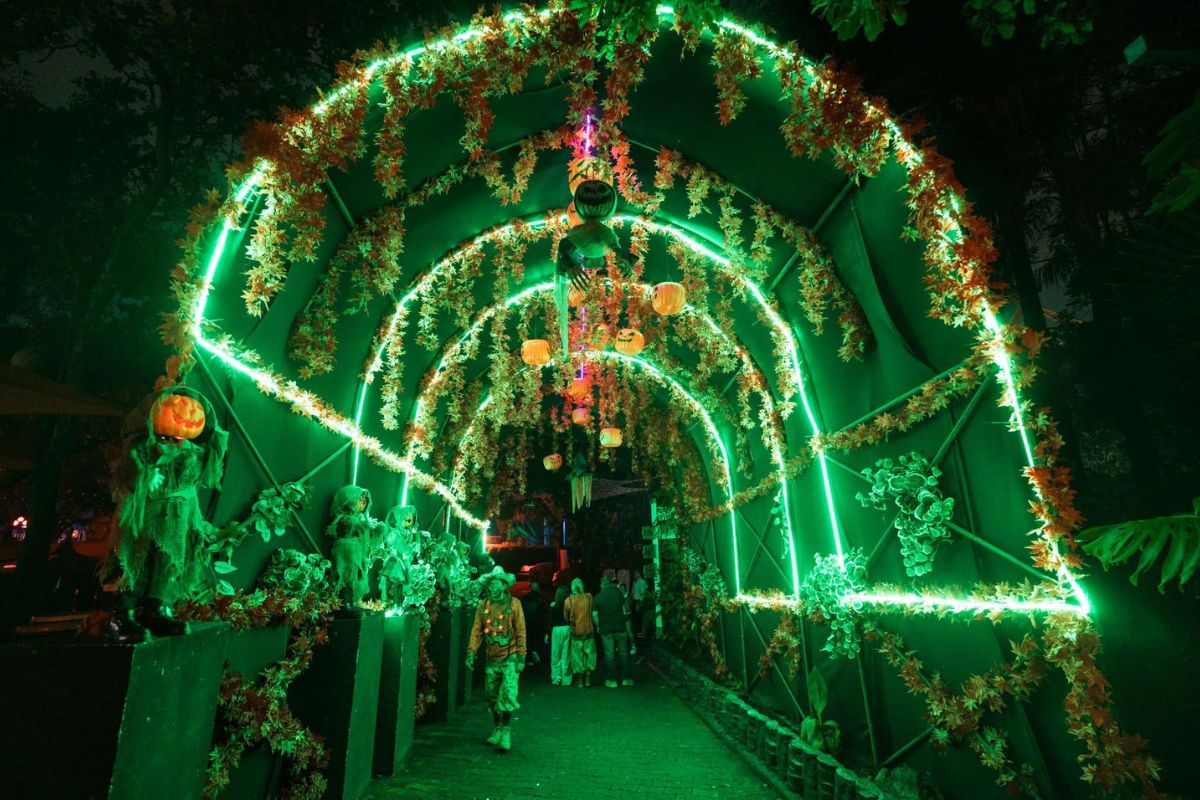 festival del terror 2025 cdmx