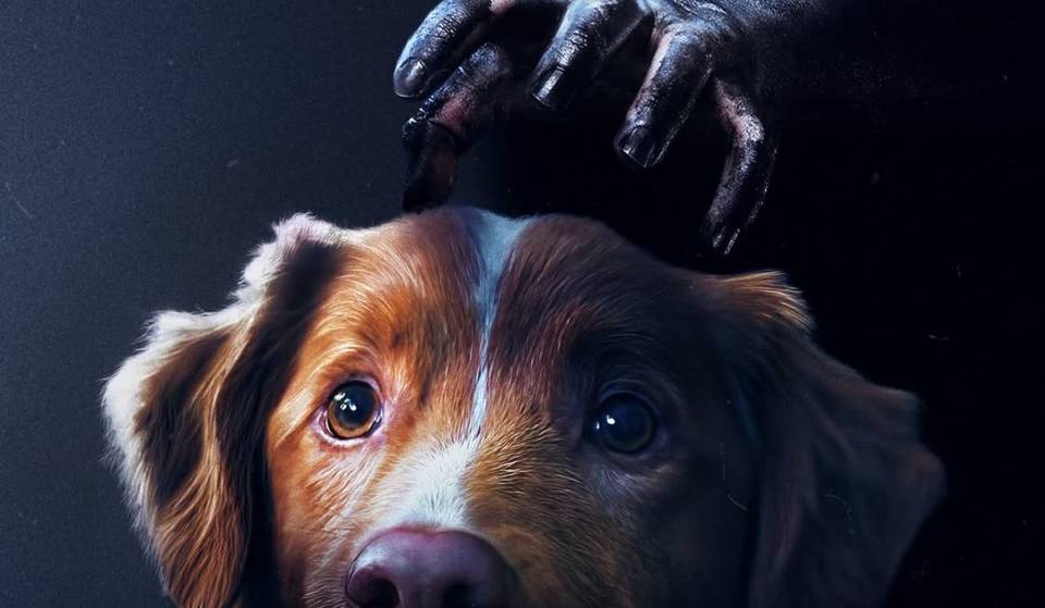 Good Boy: la película de terror sobre un perro que presencia cómo criaturas perturbadoras atacan a su humano, llegará a México este 2025