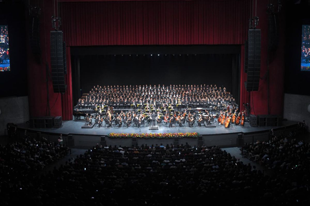 orquesta sinfónica camerata opus 11