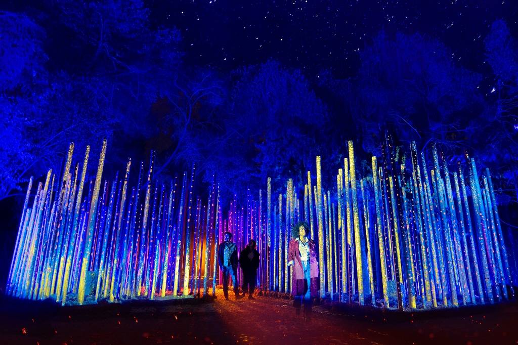 Light Cycles luces bosque de Chapultepec