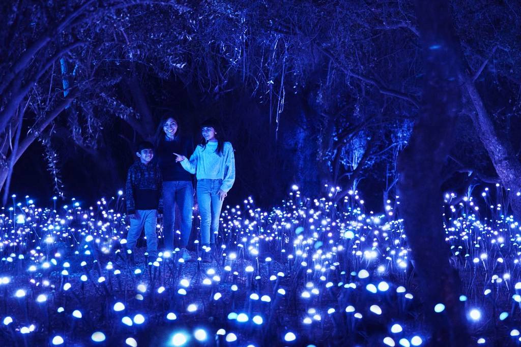 Light Cycles Chapultepec