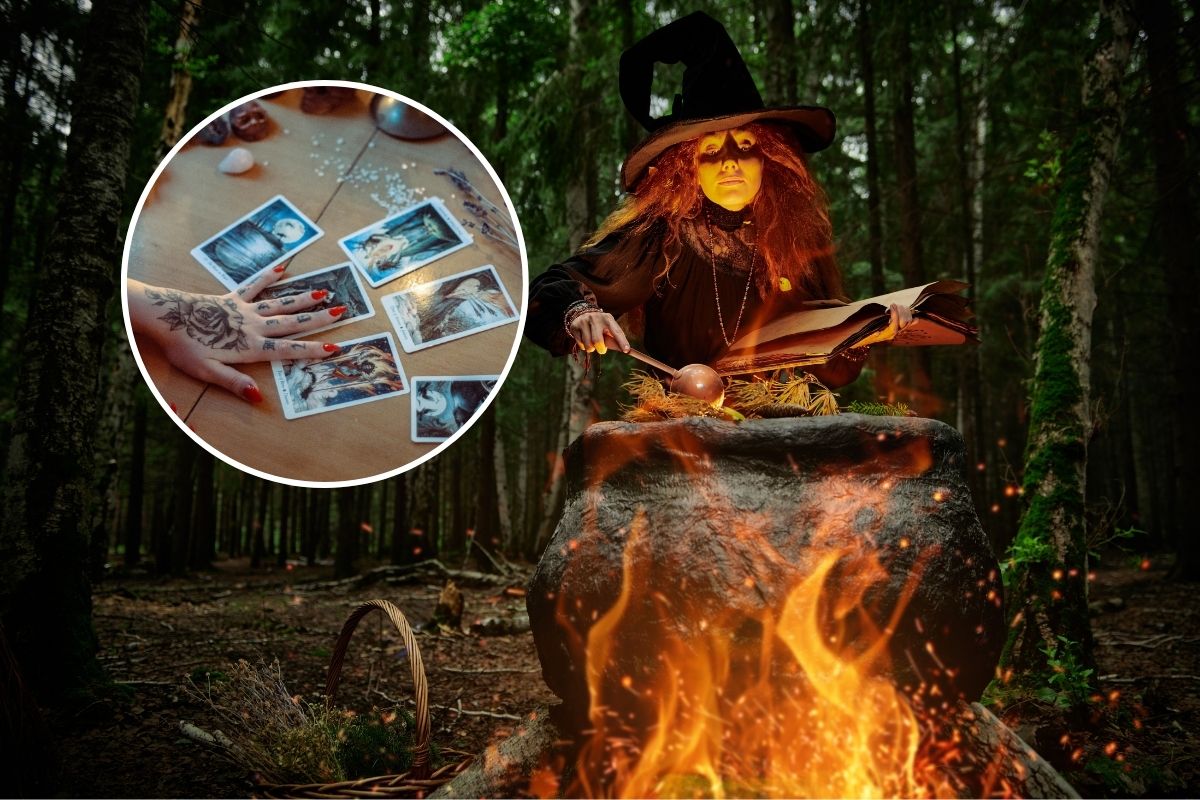 festival de brujas bosque de aragón