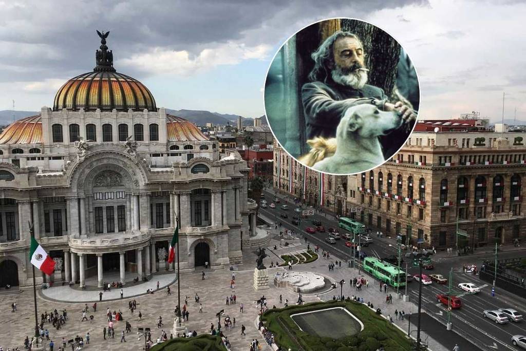 Amores Perros will be screened in Bellas Artes