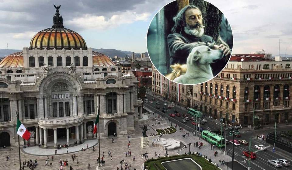 Amores Perros will be screened at the Palacio de Bellas Artes! Tickets from $80 per person
