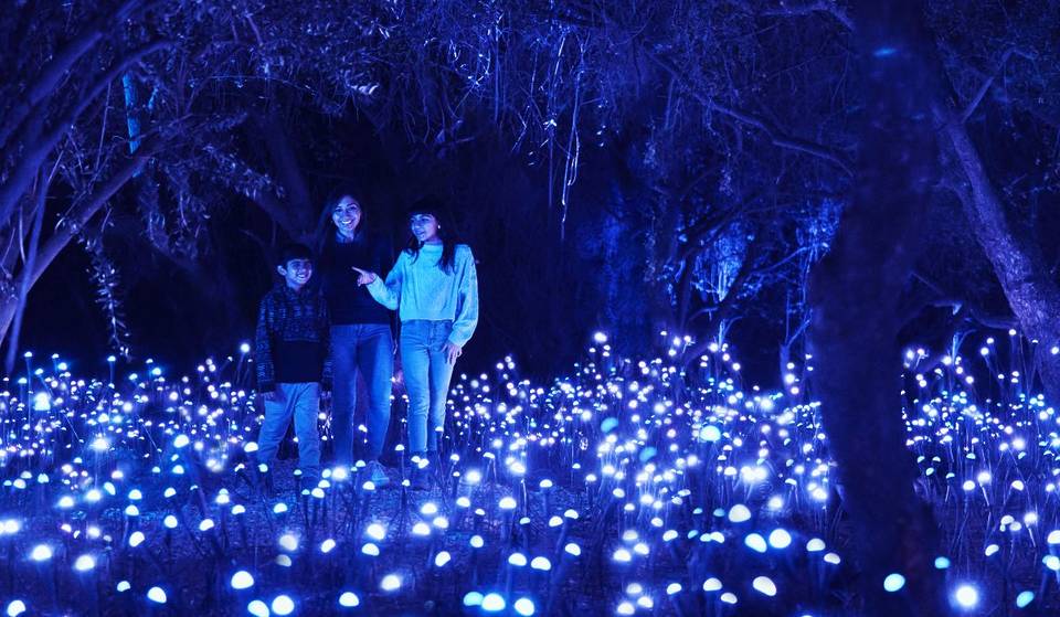 ¡Sí hay lugares abiertos! Checa qué hacer este 1 de enero de 2026 en CDMX