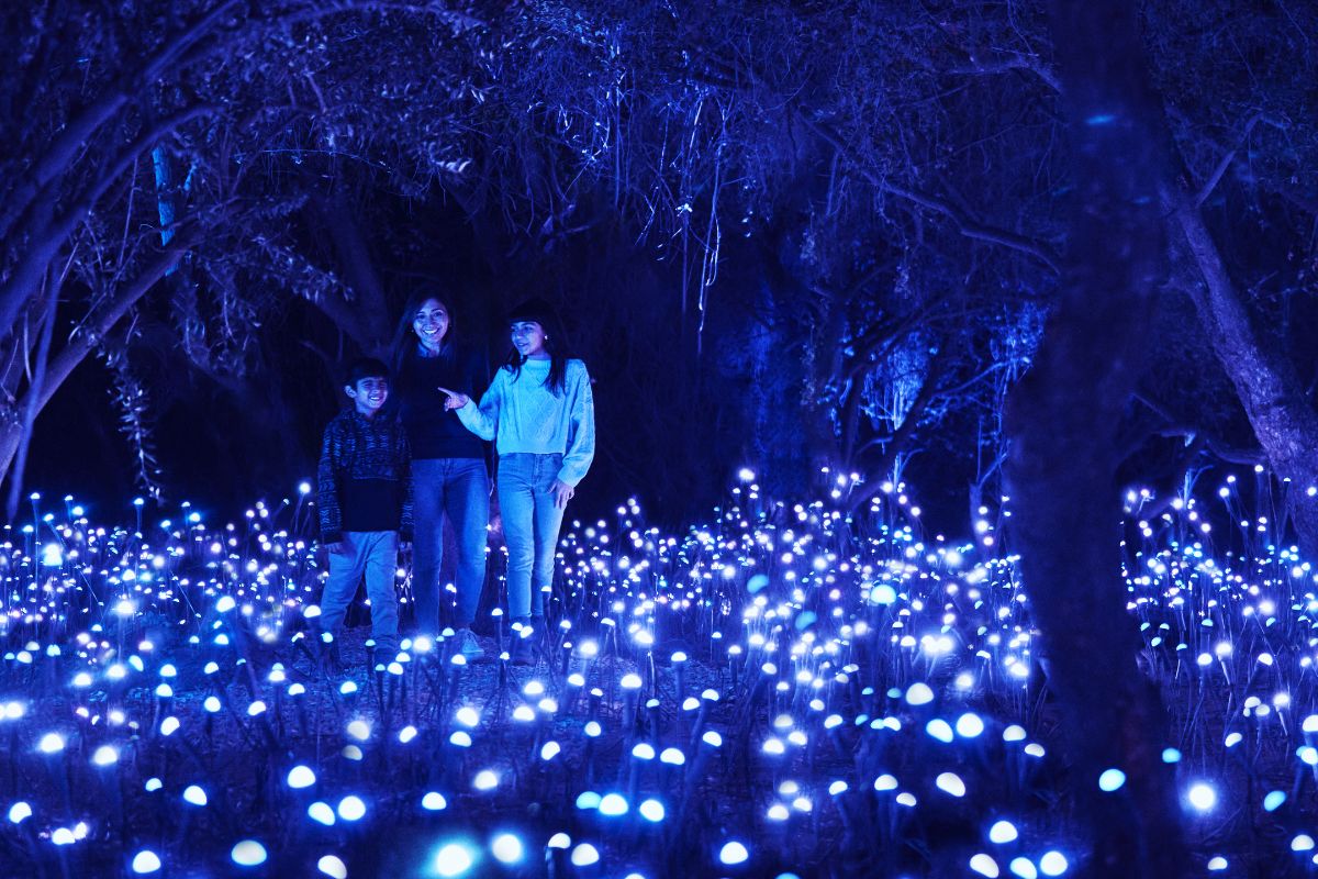 Light Cycles Chapultepec