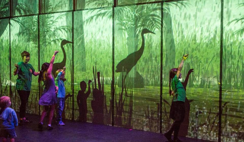 El bosque de Australia llega a CDMX con Creature, una instalación inmersiva gratis donde verás canguros y la luna muy cerca