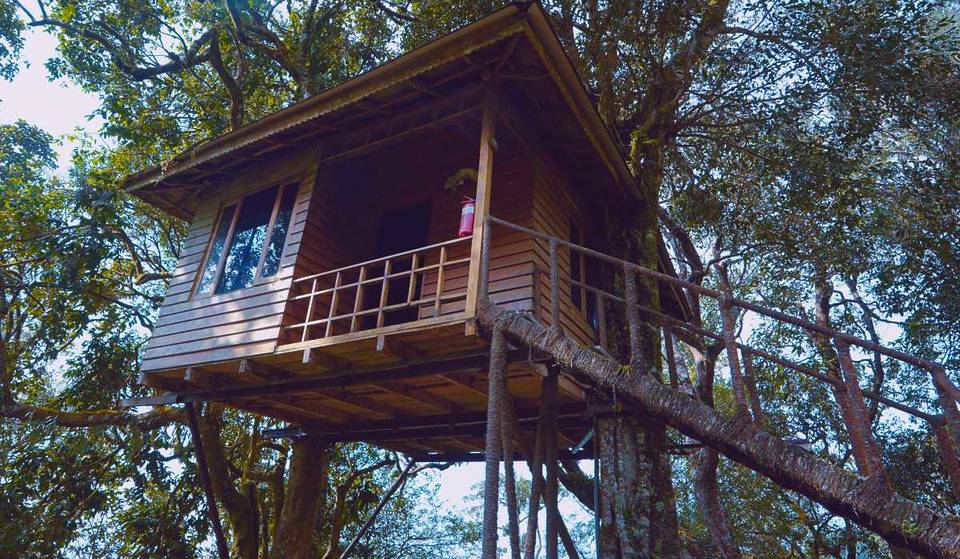 ¡El sitio a dos horas de CDMX donde puedes dormir en una cabaña arriba de un árbol! Disfrutarás de la naturaleza al máximo