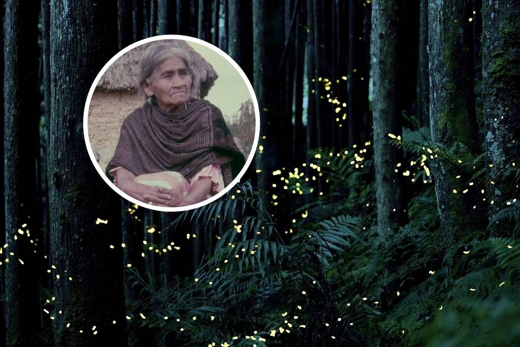 luciérnaga maría sabina chapultepec