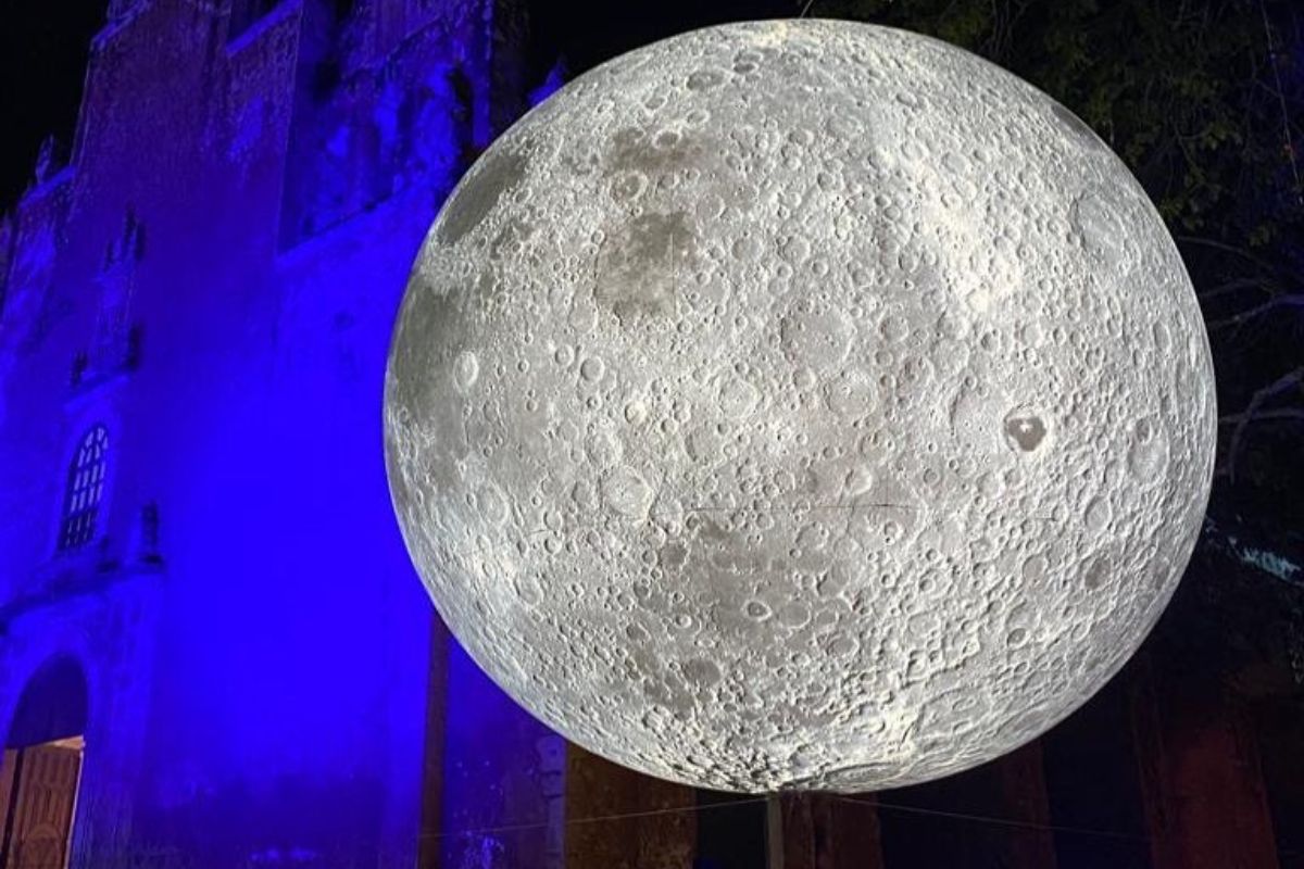 filux 2025 reforma cdmx