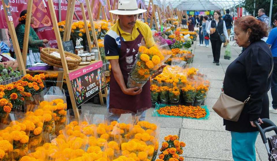 El Festival de Flores de Cempasúchil regresa a Reforma con cientos de flores y todo para tu ofrenda de Día de Muertos