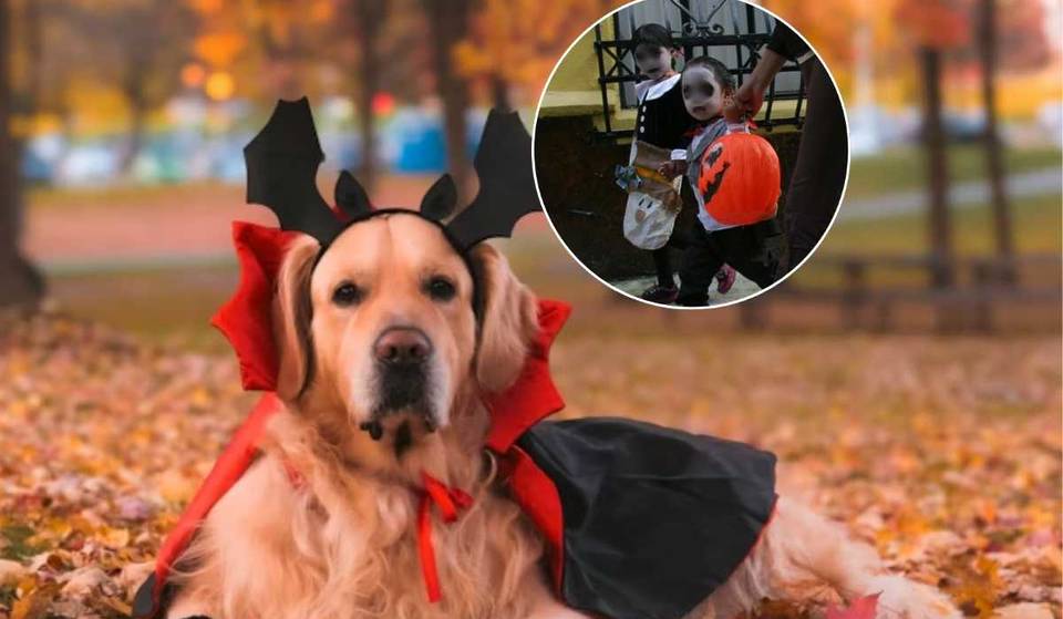 Día de Muertos en Bosque de Aragón: caminata con perritos disfrazados, ofrenda y dulces para los niños