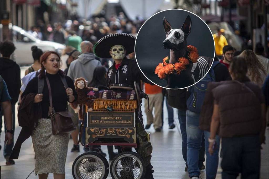 Caminata xoloitzcuintles en el Centro Histórico