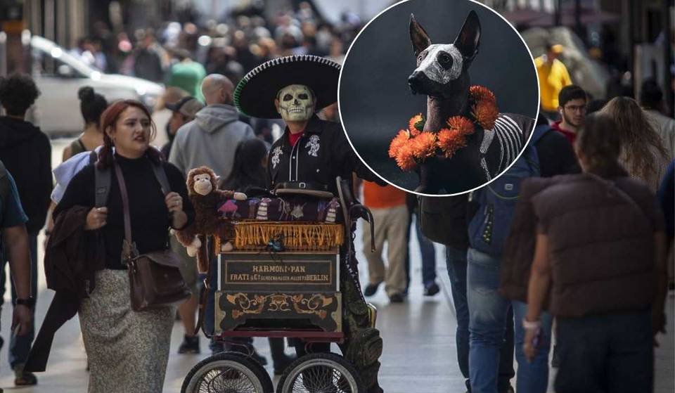 Así será la caminata con xoloitzcuintles en el Centro Histórico este Día de Muertos 2025