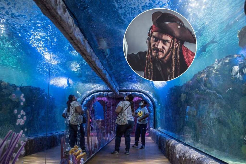 Pirate Curse at Inbursa Aquarium