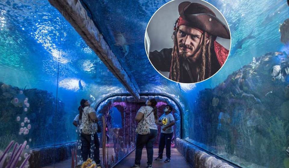 Piratas y sirenas invaden este acuario de CDMX con un espectáculo espeluznante por Halloween