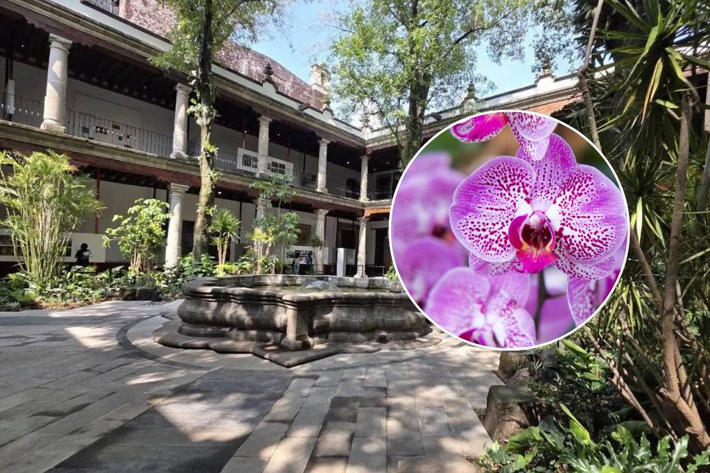 Franz Mayer Museum orchid exhibition