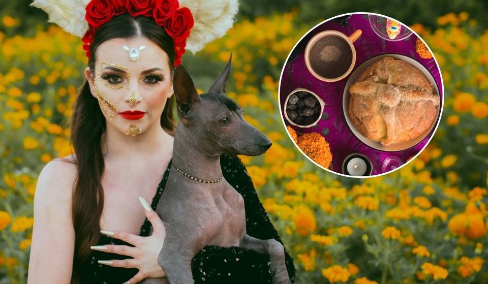 Pan de muerto, cacao artesanal y mezcal: el festival gratuito de Día de Muertos en la Condesa que celebra a los xolos
