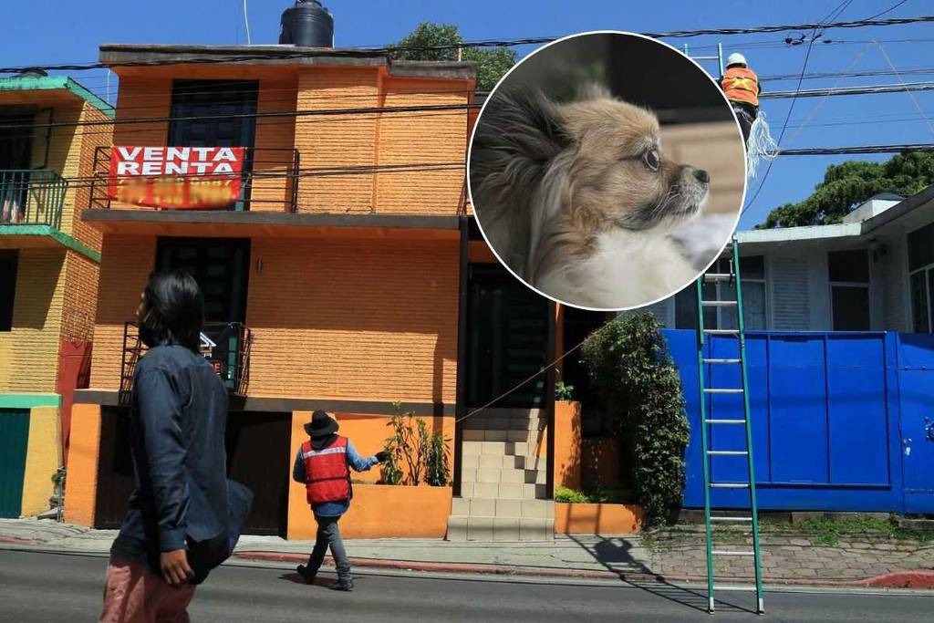 Reform will prohibit the rejection of rents for having pets or children