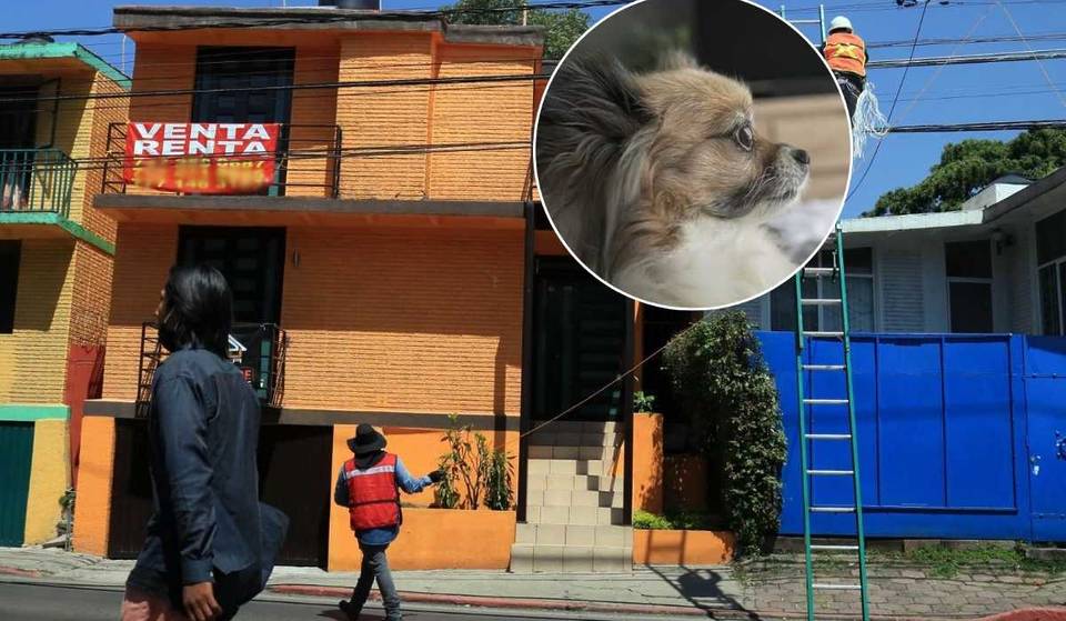 Goodbye to restrictions: from this date on they will not be able to prohibit you from renting if you have children or pets