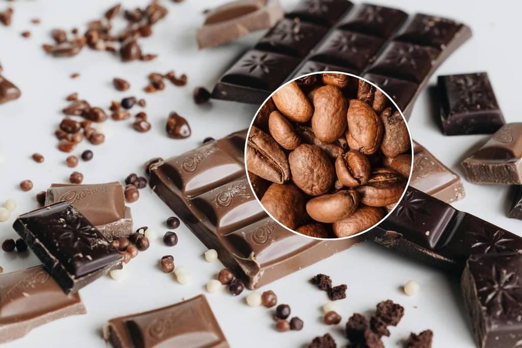 CU Chocolate Exhibition