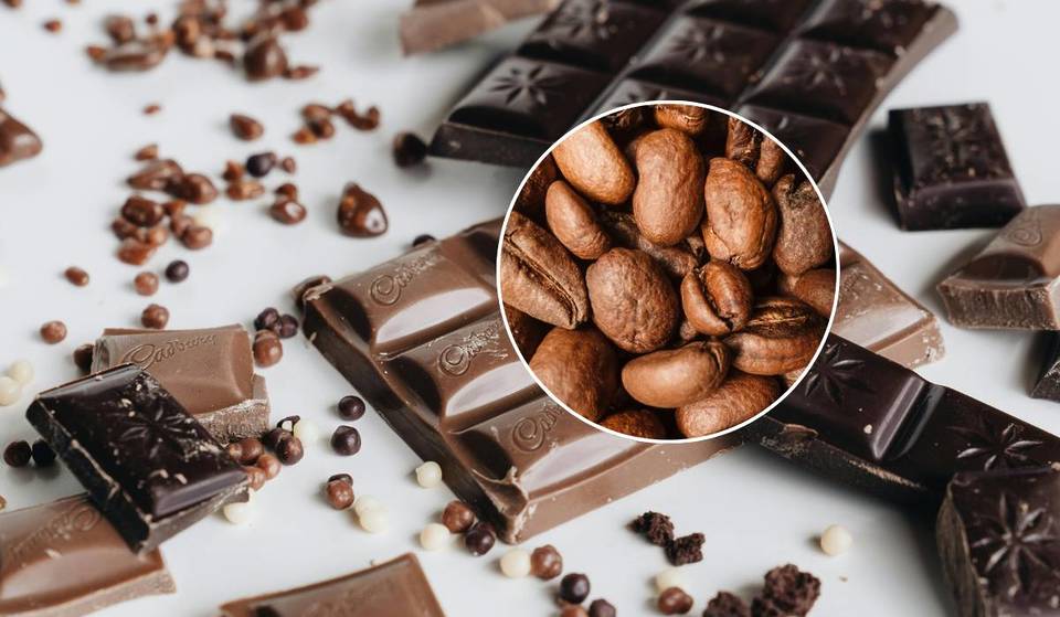 Ciencia con Sabor a Chocolate, la exposición en CU que mezcla dulzura, historia y conocimiento