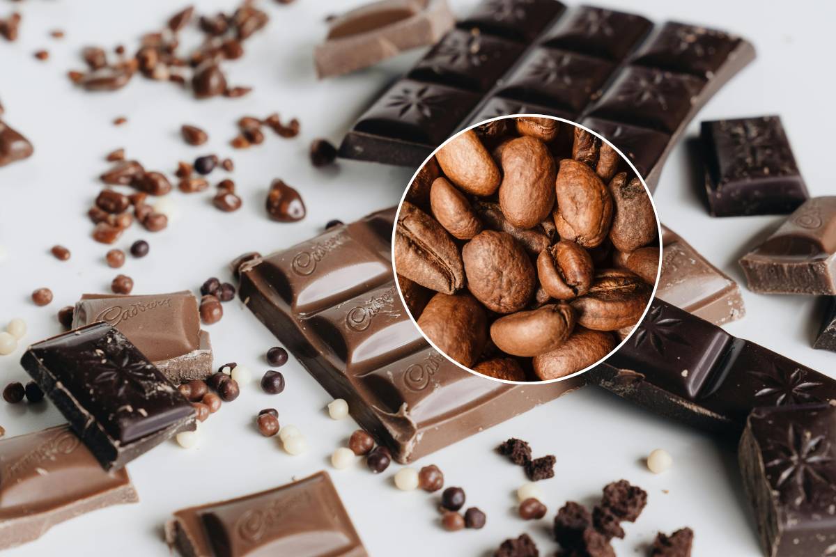 Exposición chocolate CU