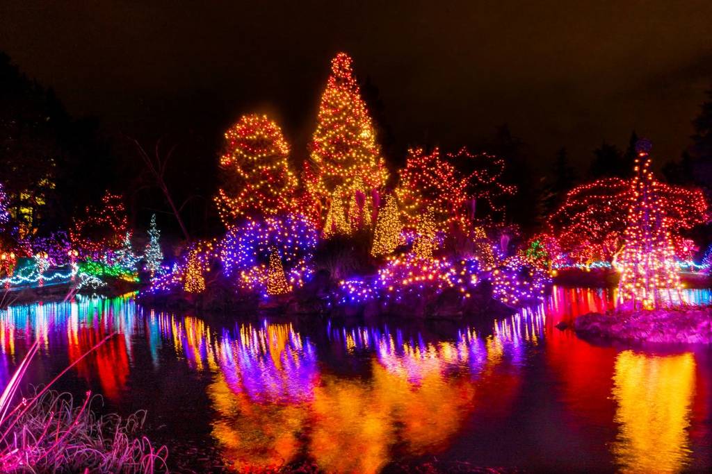 Vive la magia de la Navidad en estos jardines iluminados: habrá villas, talleres y espectáculos por corta temporada
