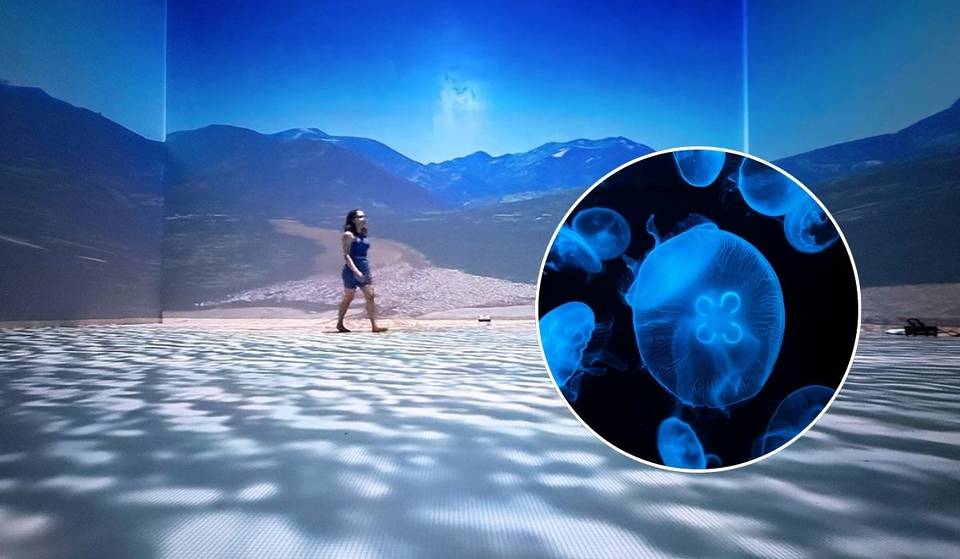 Free admission! Get to know the unmissable immersive experience of the Mexican nature in Iztapalapa.