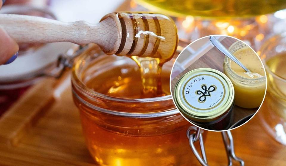 Honey tasting in CDMX: an incredible experience to taste and learn about the world of bees.